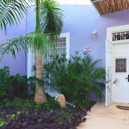 Casa Violeta Villa Мерида Екстериор снимка