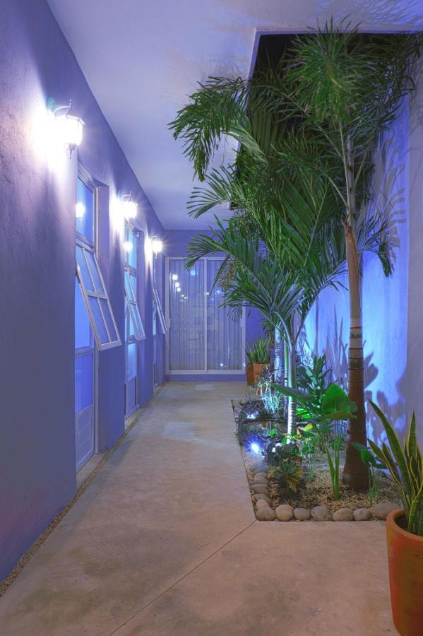 Casa Violeta Villa Мерида Екстериор снимка